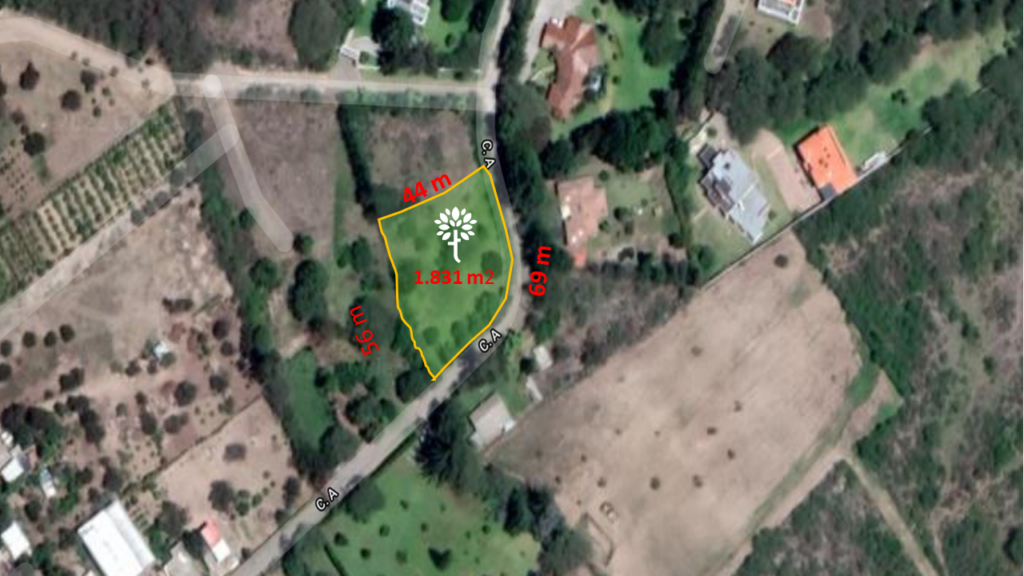 lote 3