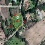 lote 3