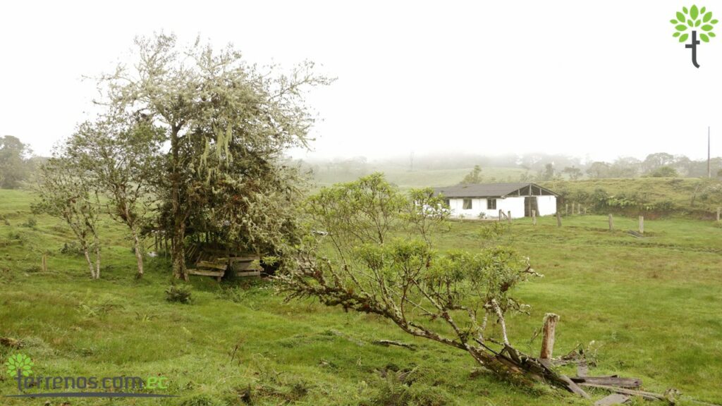 Vista adicional de terreno en venta en Napo