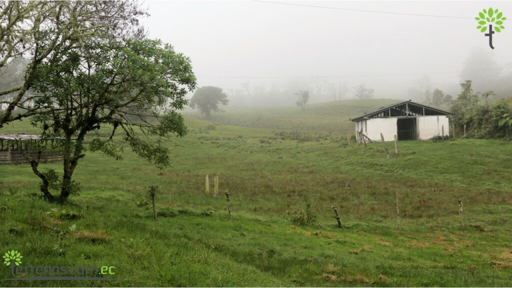 Vista adicional de terreno en venta en Napo