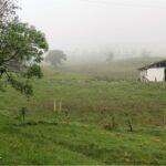 Vista adicional de terreno en venta en Napo