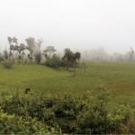 Vista adicional de terreno en venta en Napo