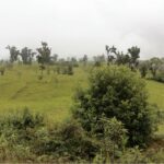 Vista adicional de terreno en venta en Napo
