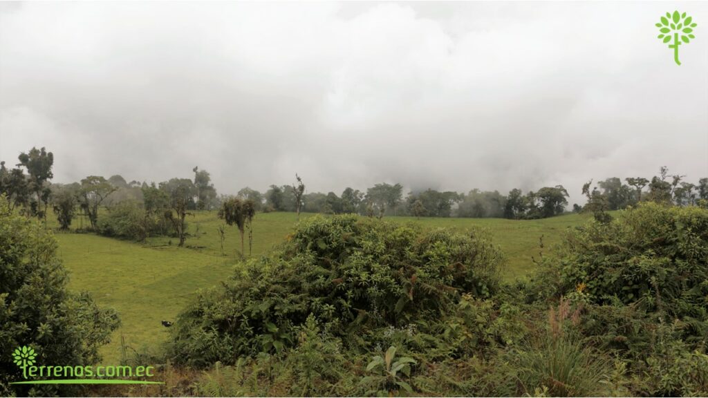 Vista adicional de terreno en venta en Napo