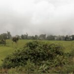 Vista adicional de terreno en venta en Napo