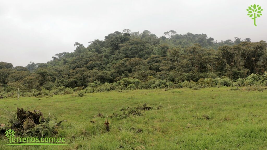 Vista adicional de terreno en venta en Napo