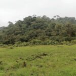 Vista adicional de terreno en venta en Napo
