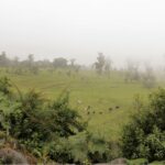 Vista adicional de terreno en venta en Napo
