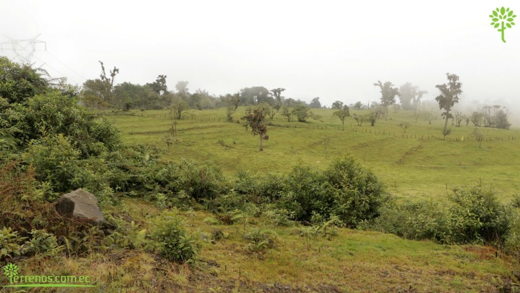 Vista adicional de terreno en venta en Napo