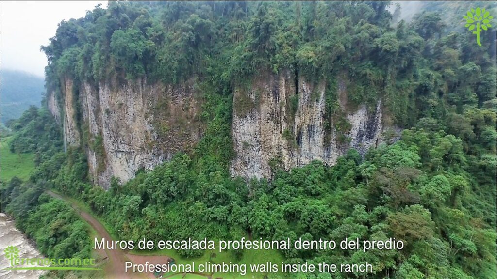 Vista adicional de terreno en venta en Napo