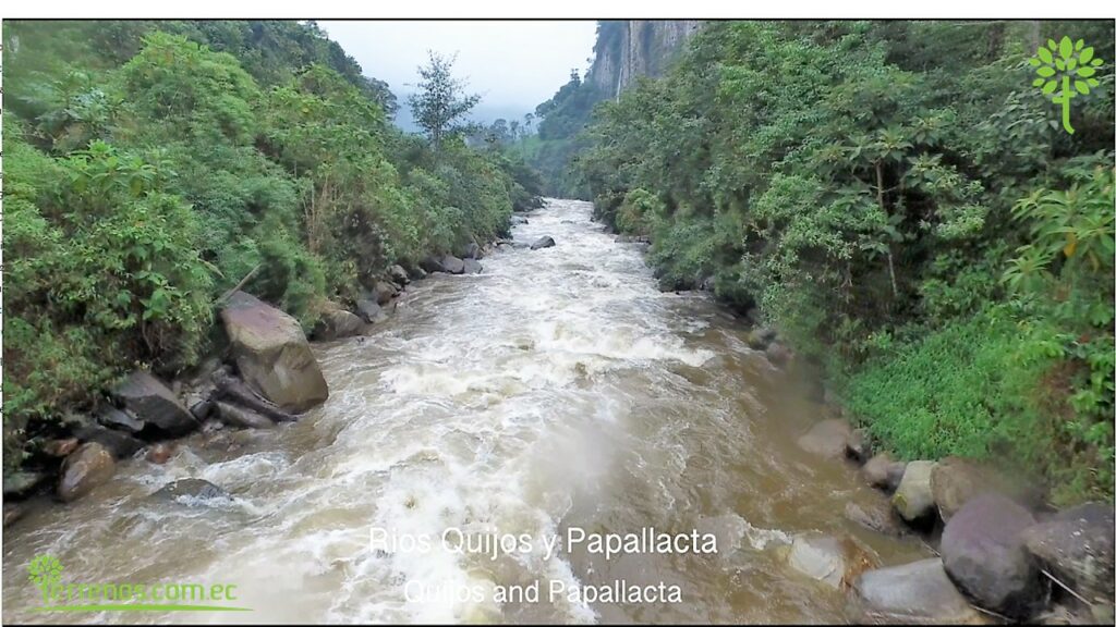 Vista adicional de terreno en venta en Napo