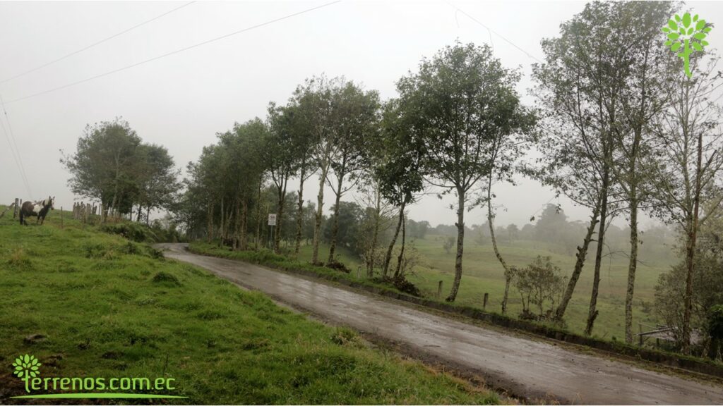 Vista adicional de terreno en venta en Napo
