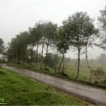 Vista adicional de terreno en venta en Napo