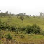 Vista adicional de terreno en venta en Napo