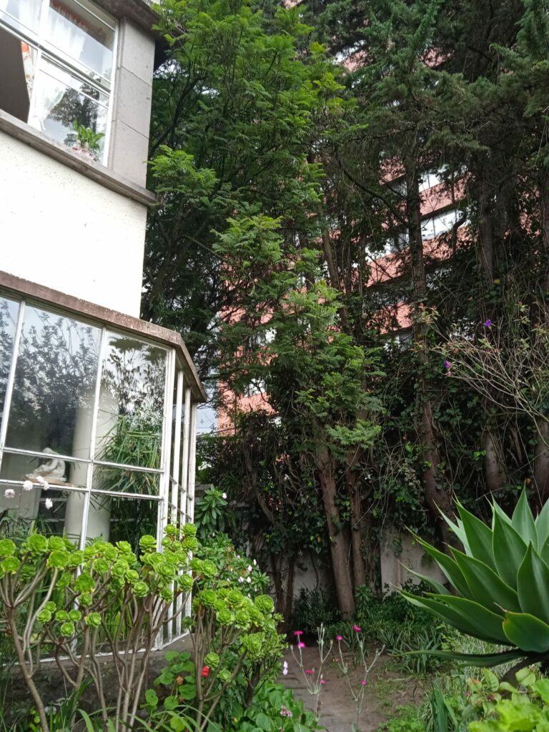 Vista adicional de terreno en venta en La Floresta, Quito, Pichincha