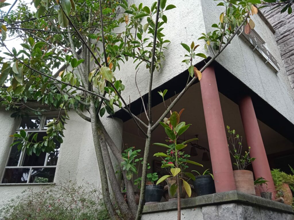 Vista adicional de terreno en venta en La Floresta, Quito, Pichincha