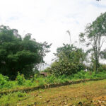 Vista adicional de terreno en venta en Pedro Vicente Maldonado, Pichincha
