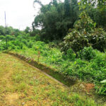 Vista adicional de terreno en venta en Pedro Vicente Maldonado, Pichincha