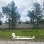 Vista adicional de terreno en venta en Puembo, Quito, Pichincha