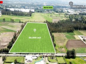 Terreno de venta en Puembo de 50.000 m2 sector Highlands School