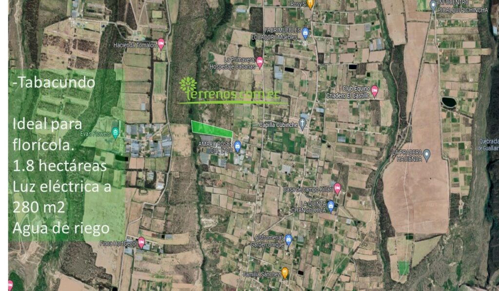 Vista adicional de terreno en venta en Tabacundo, Pedro Moncayo, Pichincha