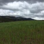 Vista adicional de terreno en venta en Tabacundo, Pedro Moncayo, Pichincha