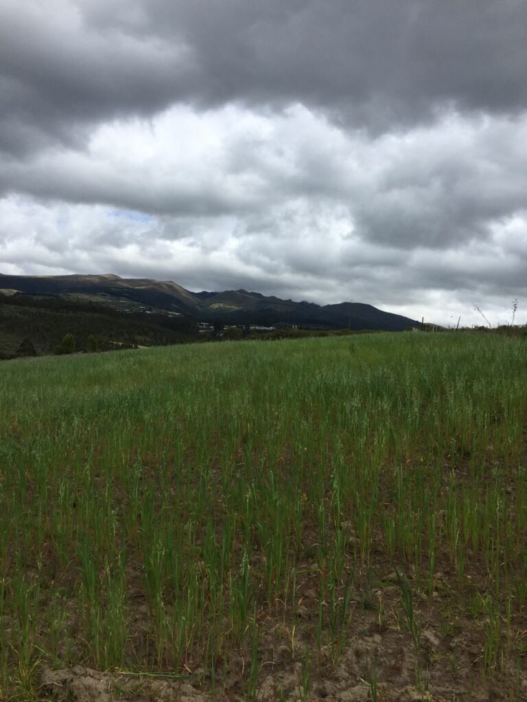 Vista adicional de terreno en venta en Tabacundo, Pedro Moncayo, Pichincha