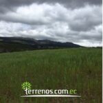 Vista adicional de terreno en venta en Tabacundo, Pedro Moncayo, Pichincha