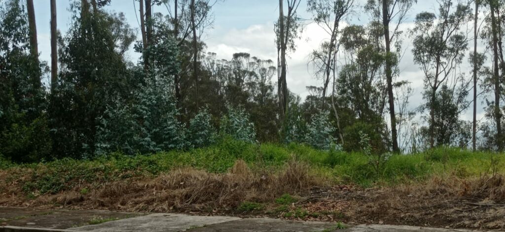 Vista adicional de terreno en venta en Iñaquito Alto, Quito, Pichincha