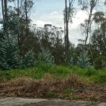 Vista adicional de terreno en venta en Iñaquito Alto, Quito, Pichincha
