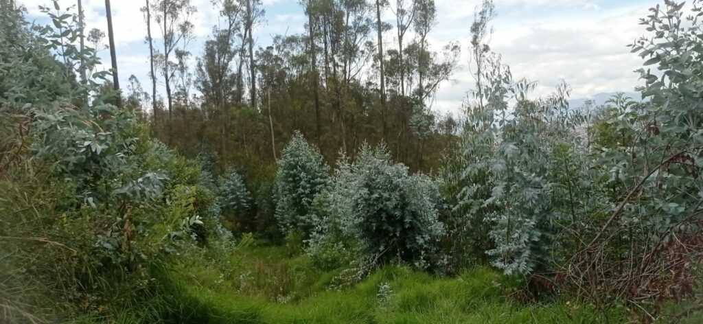Vista adicional de terreno en venta en Iñaquito Alto, Quito, Pichincha