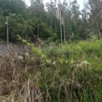 Vista adicional de terreno en venta en Iñaquito Alto, Quito, Pichincha