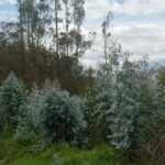 Vista adicional de terreno en venta en Iñaquito Alto, Quito, Pichincha