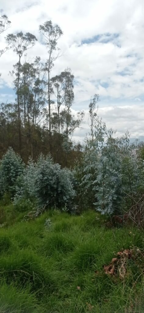 Vista adicional de terreno en venta en Iñaquito Alto, Quito, Pichincha