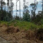 Vista adicional de terreno en venta en Iñaquito Alto, Quito, Pichincha