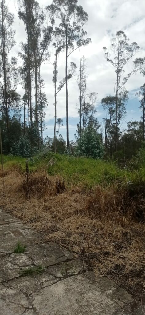 Vista adicional de terreno en venta en Iñaquito Alto, Quito, Pichincha