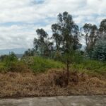 Vista adicional de terreno en venta en Iñaquito Alto, Quito, Pichincha
