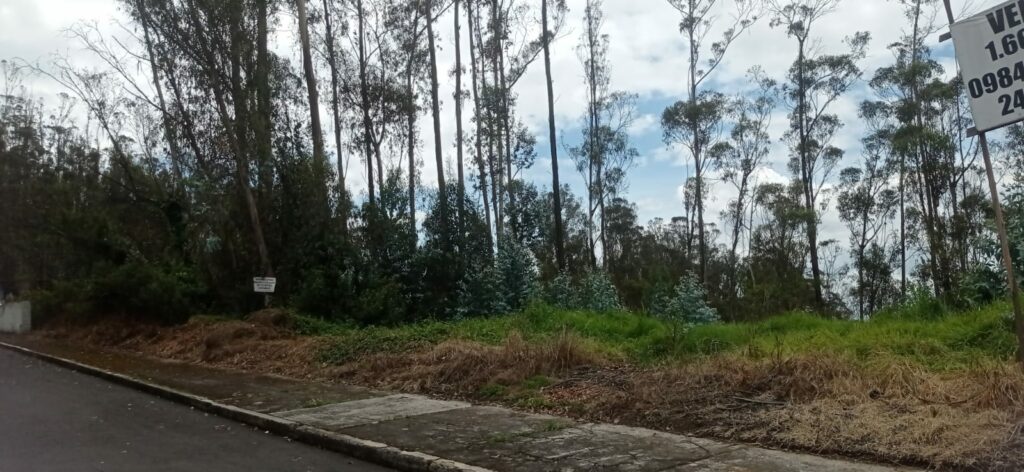 Vista adicional de terreno en venta en Iñaquito Alto, Quito, Pichincha