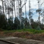 Vista adicional de terreno en venta en Iñaquito Alto, Quito, Pichincha
