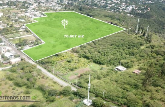 Terreno de venta en Tumbaco 7.5 hectáreas Sector Churoloma