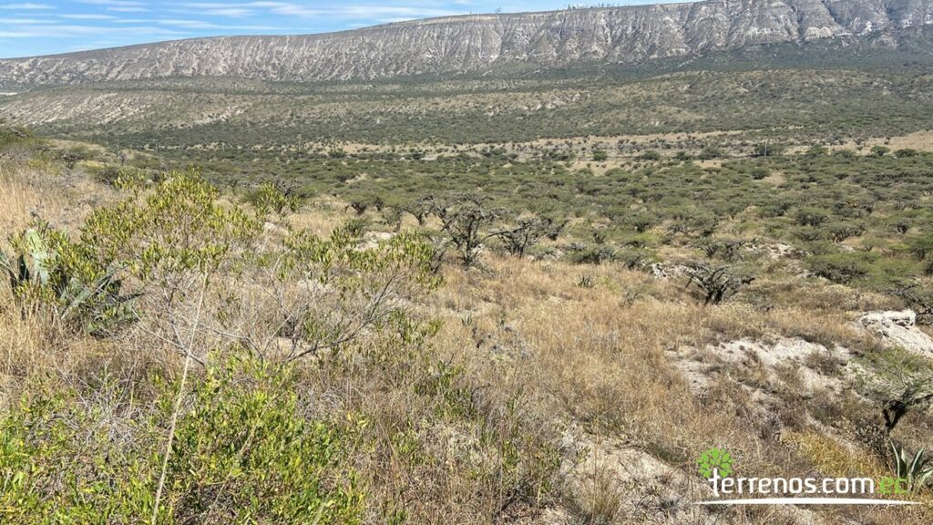 Vista adicional de terreno en venta en Malchingui, Pedro Moncayo, Pichincha