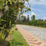 Vista adicional de terreno en venta en Puembo, Quito, Pichincha