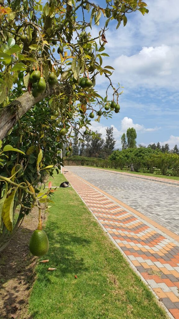 Vista adicional de terreno en venta en Puembo, Quito, Pichincha