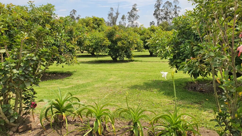 Vista adicional de terreno en venta en Puembo, Quito, Pichincha