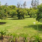 Vista adicional de terreno en venta en Puembo, Quito, Pichincha