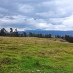 IMG_20221117_123930