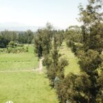 Vista adicional de terreno en venta en Puembo, Quito, Pichincha