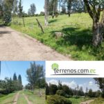 Vista adicional de terreno en venta en Puembo, Quito, Pichincha
