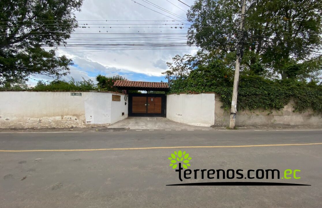 Imagen6