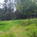Vista adicional de terreno en venta en Puembo, Quito, Pichincha